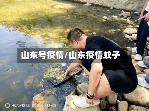 山东号疫情/山东疫情蚊子-第3张图片