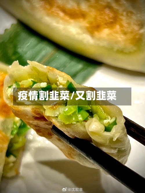 疫情割韭菜/又割韭菜