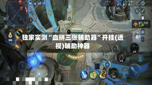独家实测“血拼三张辅助器”开挂(透视)辅助神器-第3张图片