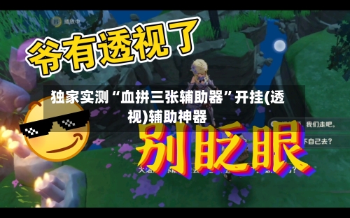 独家实测“血拼三张辅助器”开挂(透视)辅助神器-第2张图片