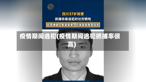 疫情期间逃犯(疫情期间逃犯抓捕率很高)