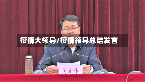 疫情大领导/疫情领导总结发言-第3张图片