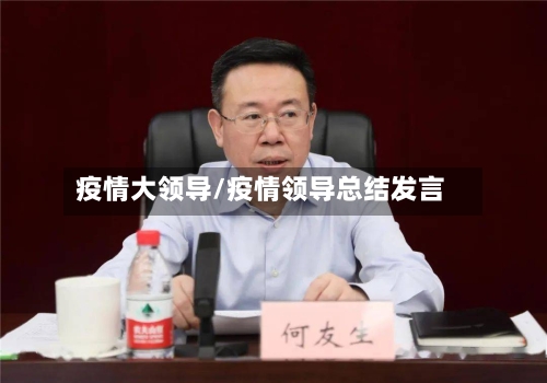 疫情大领导/疫情领导总结发言-第2张图片
