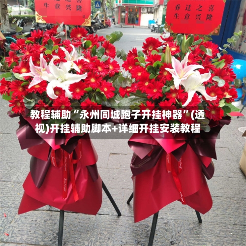 教程辅助“永州同城跑子开挂神器”(透视)开挂辅助脚本+详细开挂安装教程-第1张图片