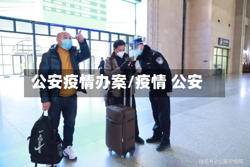 公安疫情办案/疫情 公安