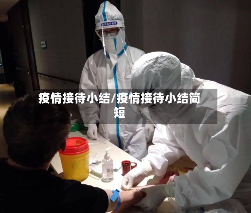 疫情接待小结/疫情接待小结简短