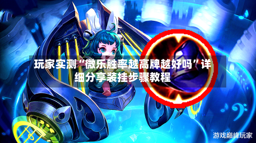 玩家实测“微乐胜率越高牌越好吗”详细分享装挂步骤教程-第1张图片