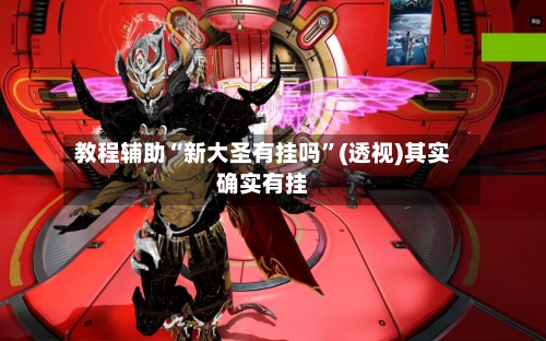 教程辅助“新大圣有挂吗”(透视)其实确实有挂