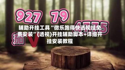 辅助开挂工具“微乐跑得快透视挂免费安装”(透视)开挂辅助脚本+详细开挂安装教程-第3张图片