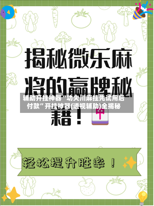 辅助开挂神器“功夫川麻挂先试用后付款”开挂神器{透视辅助}全揭秘-第1张图片