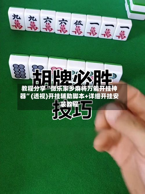 教程分享“微乐家乡麻将万能开挂神器	”(透视)开挂辅助脚本+详细开挂安装教程-第2张图片