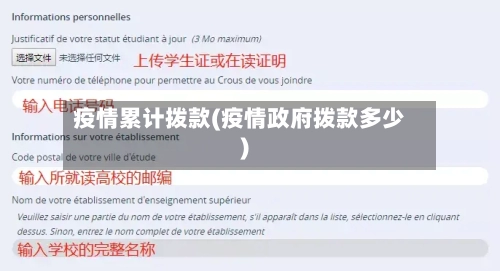 疫情累计拨款(疫情政府拨款多少)-第2张图片