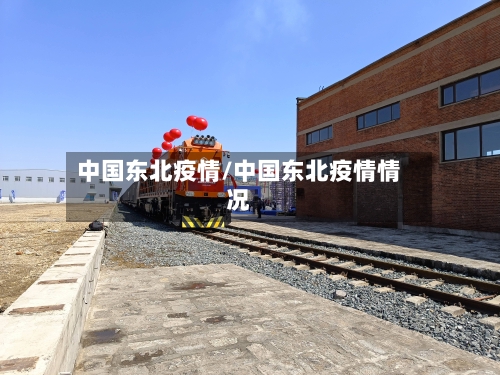 中国东北疫情/中国东北疫情情况