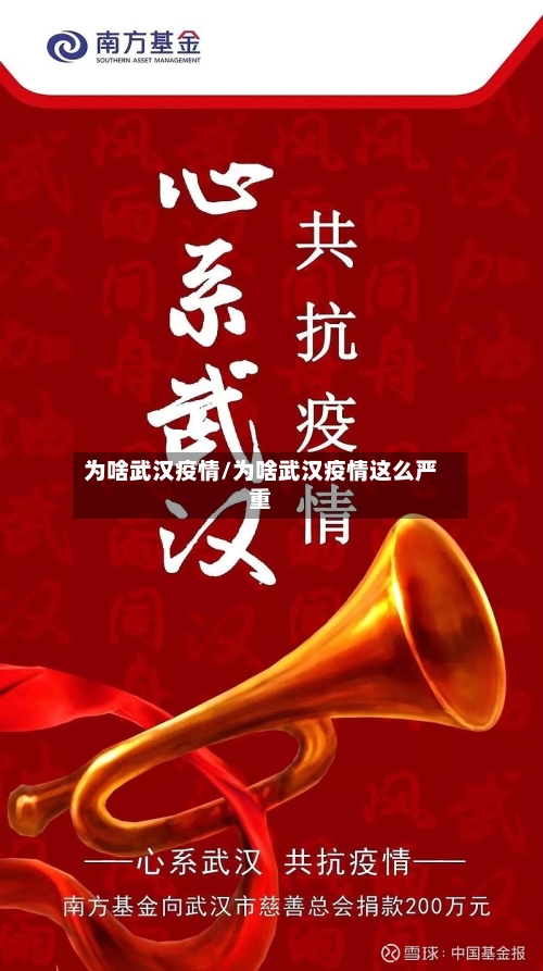 为啥武汉疫情/为啥武汉疫情这么严重