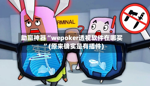助赢神器“wepoker透视软件在哪买”(原来确实是有插件)-第3张图片