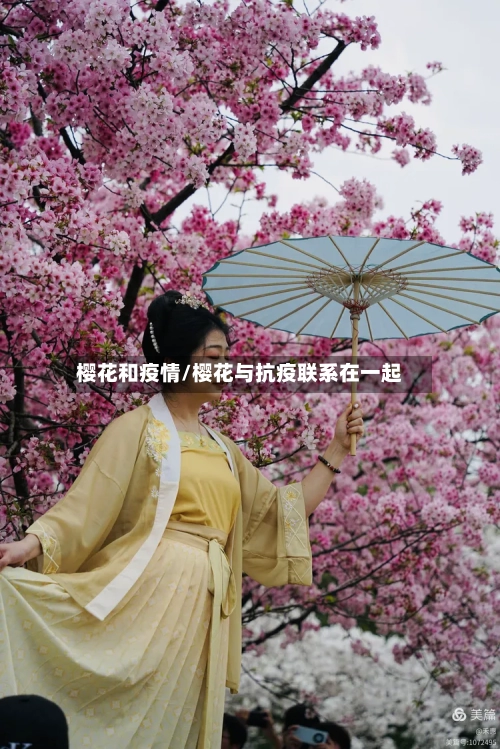 樱花和疫情/樱花与抗疫联系在一起