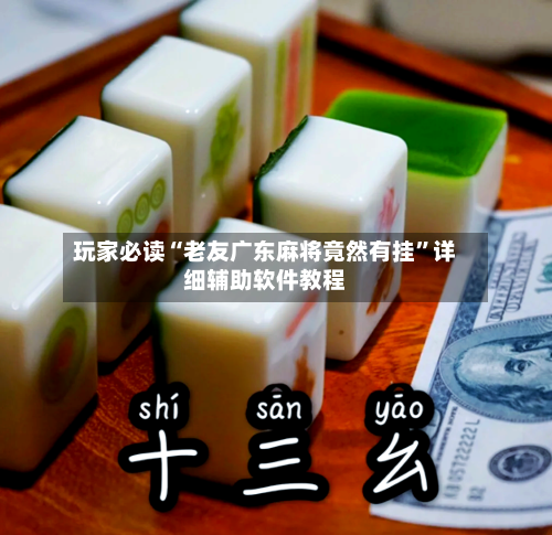 玩家必读“老友广东麻将竟然有挂”详细辅助软件教程