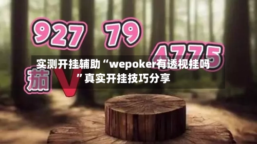 实测开挂辅助“wepoker有透视挂吗”真实开挂技巧分享-第1张图片