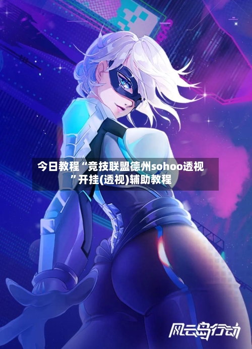 今日教程“竞技联盟德州sohoo透视”开挂(透视)辅助教程-第3张图片