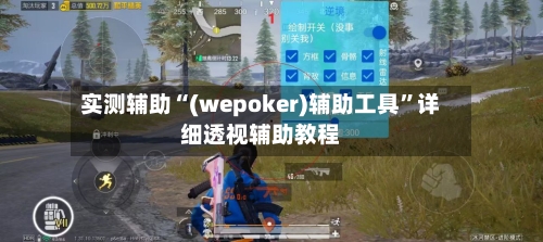 实测辅助“(wepoker)辅助工具”详细透视辅助教程