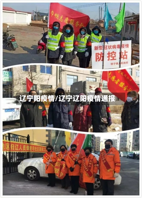 辽宁阳疫情/辽宁辽阳疫情通报-第3张图片