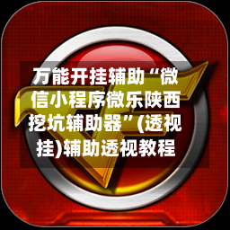 万能开挂辅助“微信小程序微乐陕西挖坑辅助器	”(透视挂)辅助透视教程-第2张图片