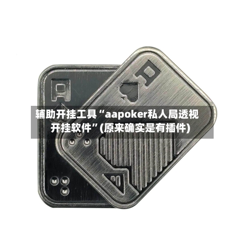 辅助开挂工具“aapoker私人局透视开挂软件”(原来确实是有插件)-第2张图片