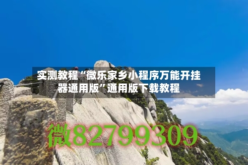 实测教程“微乐家乡小程序万能开挂器通用版	”通用版下载教程-第2张图片