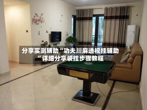 分享实测辅助“功夫川麻透视挂辅助	”详细分享装挂步骤教程-第2张图片