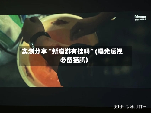 实测分享“新道游有挂吗”(曝光透视必备猫腻)-第2张图片