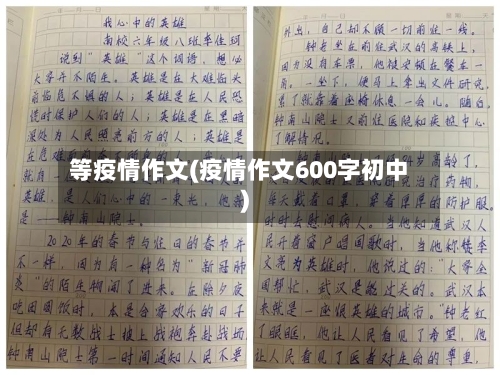 等疫情作文(疫情作文600字初中)-第2张图片