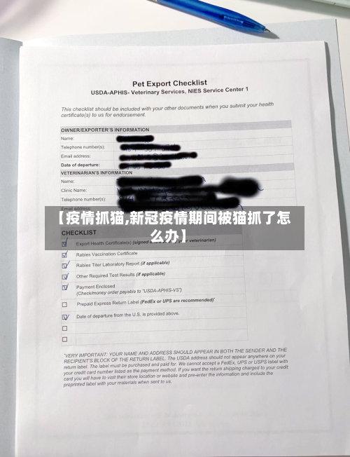 【疫情抓猫,新冠疫情期间被猫抓了怎么办】