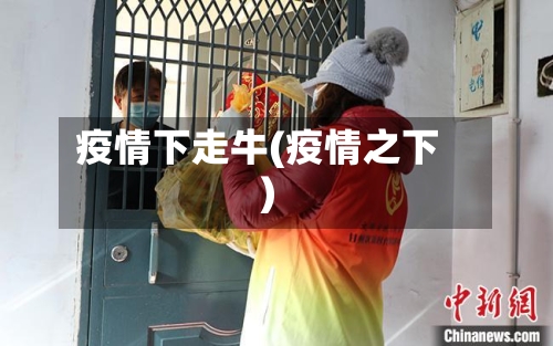 疫情下走牛(疫情之下)-第2张图片