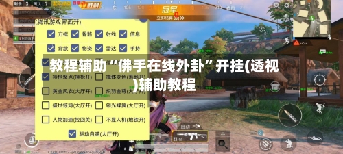 教程辅助“佛手在线外卦”开挂(透视)辅助教程-第2张图片