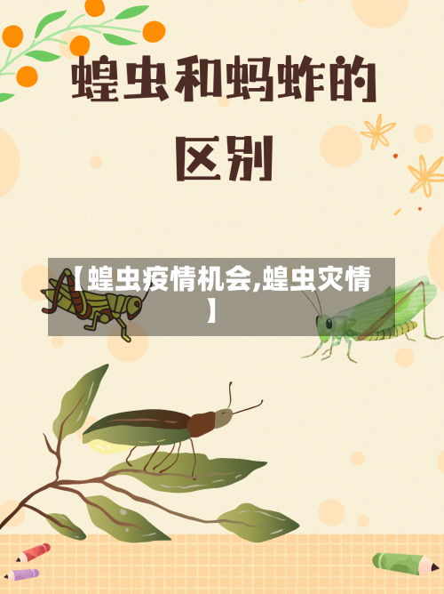 【蝗虫疫情机会,蝗虫灾情】