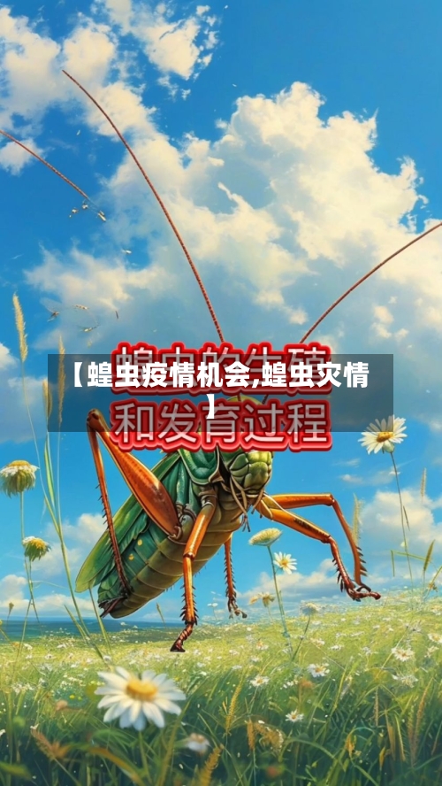 【蝗虫疫情机会,蝗虫灾情】-第3张图片
