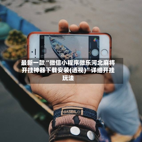 最新一款“微信小程序微乐河北麻将开挂神器下载安装(透视)”详细开挂玩法-第3张图片