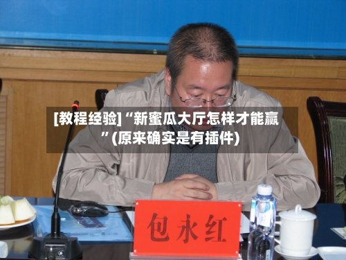 [教程经验]“新蜜瓜大厅怎样才能赢”(原来确实是有插件)