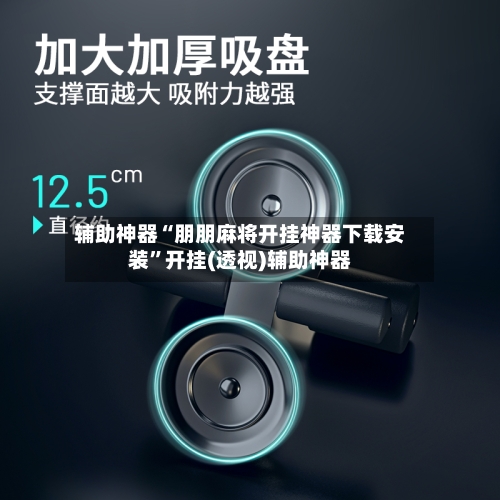 辅助神器“朋朋麻将开挂神器下载安装”开挂(透视)辅助神器-第2张图片