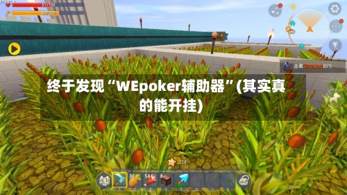 终于发现“WEpoker辅助器”(其实真的能开挂)