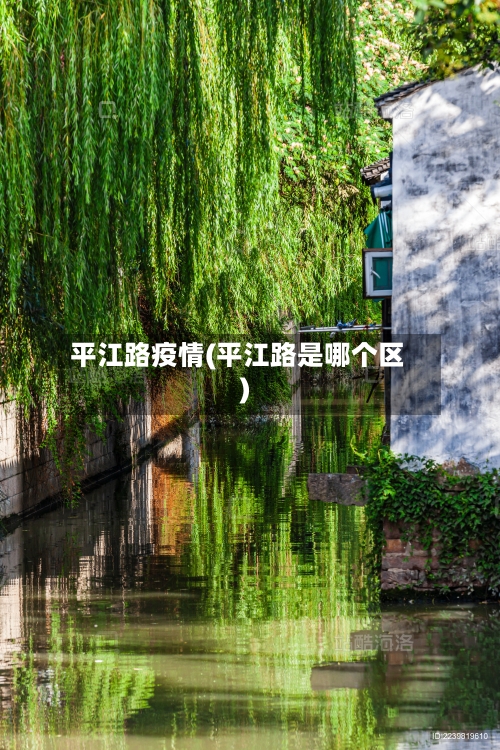 平江路疫情(平江路是哪个区)