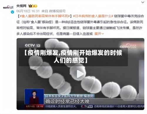 【疫情刚爆发,疫情刚开始爆发的时候人们的感觉】-第2张图片