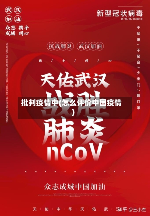 批判疫情中(怎么评价中国疫情)