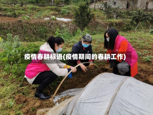 疫情春耕标语(疫情期间的春耕工作)