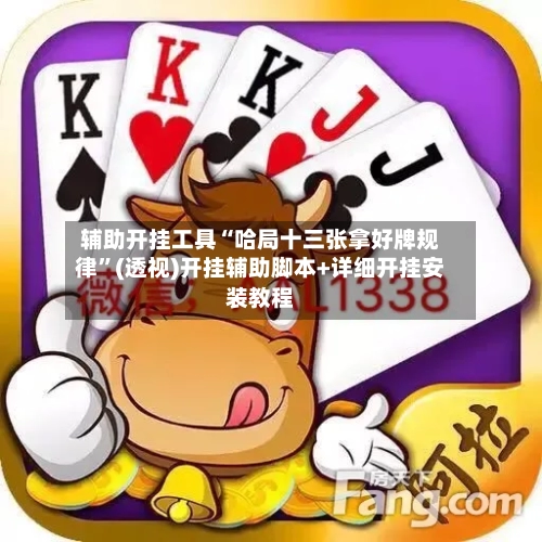 辅助开挂工具“哈局十三张拿好牌规律”(透视)开挂辅助脚本+详细开挂安装教程-第2张图片