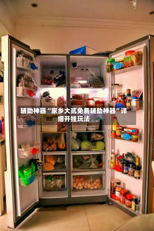 辅助神器“家乡大贰免费辅助神器”详细开挂玩法