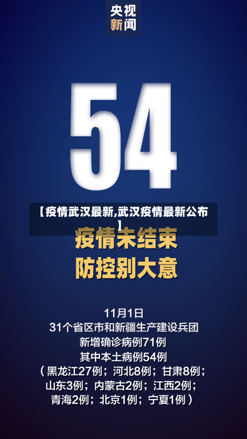 【疫情武汉最新,武汉疫情最新公布】