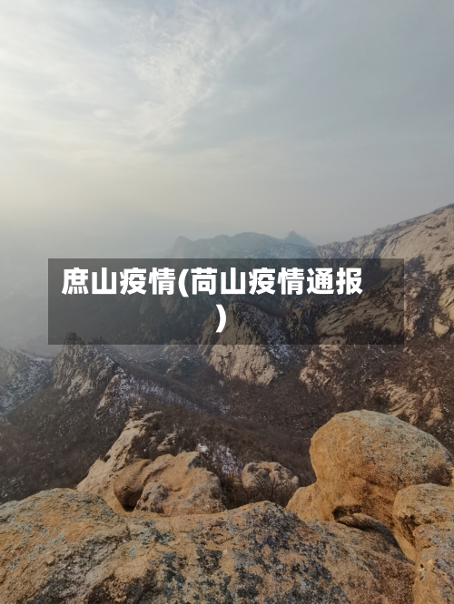 庶山疫情(苘山疫情通报)