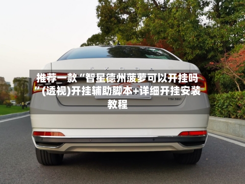 推荐一款“智星德州菠萝可以开挂吗	”(透视)开挂辅助脚本+详细开挂安装教程-第2张图片