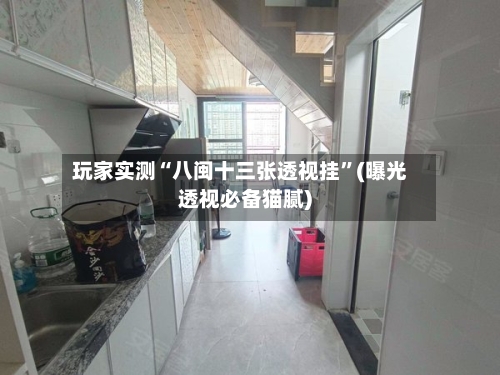 玩家实测“八闽十三张透视挂”(曝光透视必备猫腻)